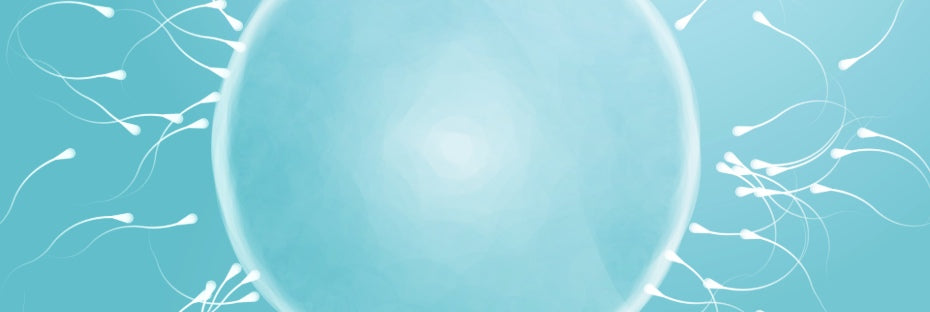 Sperm health: the definitive guide