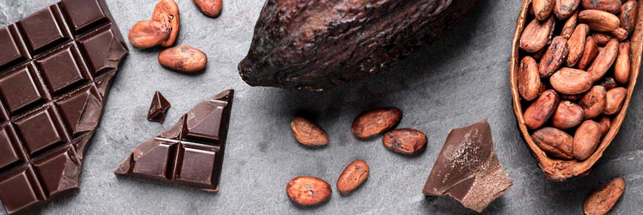 Cocoa flavanols: The definitive guide