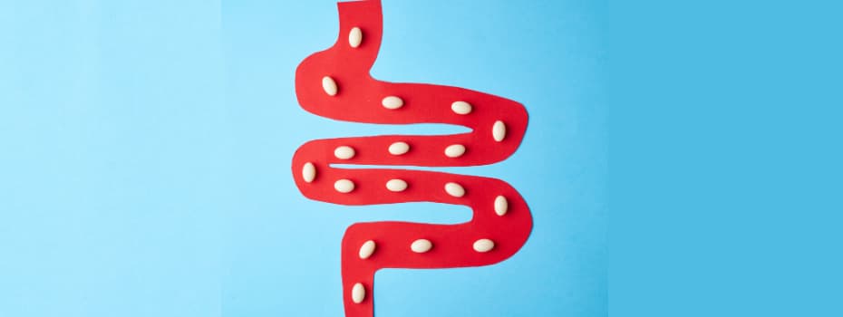 The ultimate guide to gut health