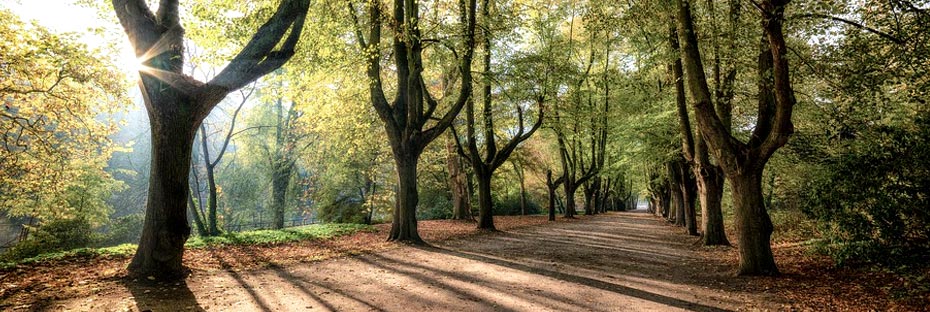 Vitamin D deficiency: Causes, symptoms & risks