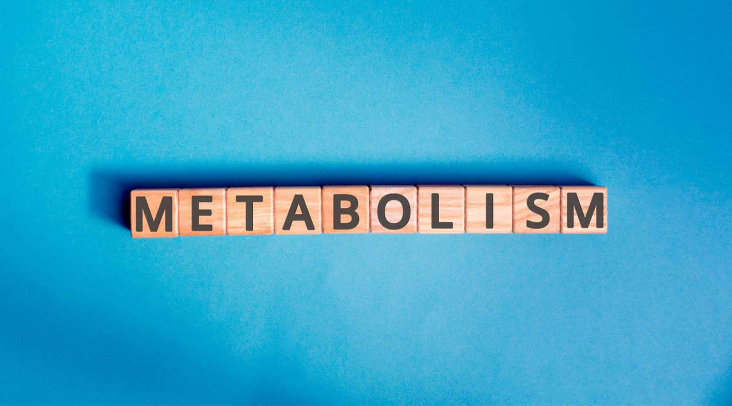 What is metabolism? Your top 10 questions answered
