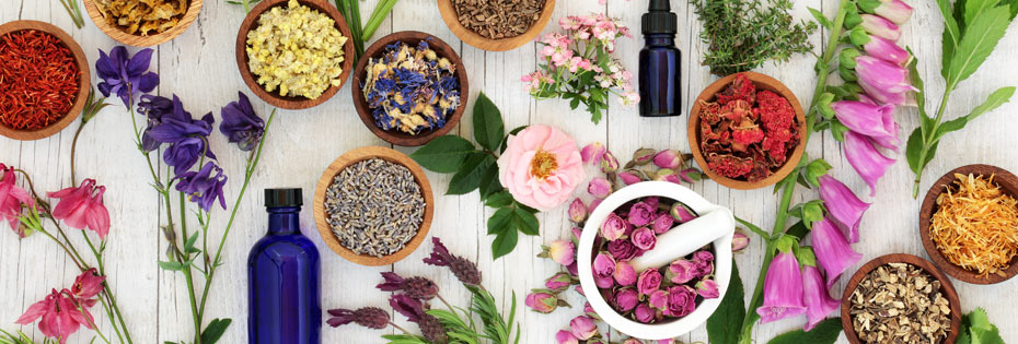 Traditional herbal medicines: the definitive guide