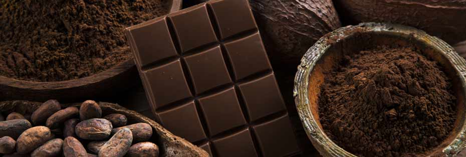 Why take cocoa flavanols?