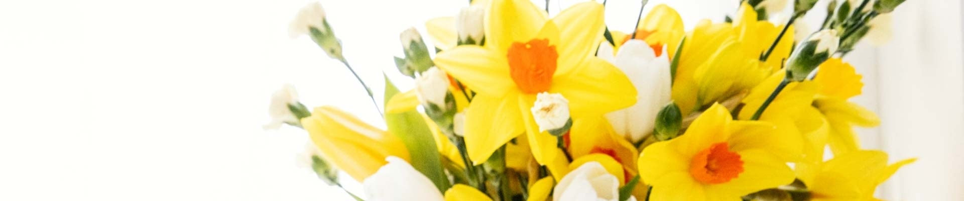 Spring Wellness