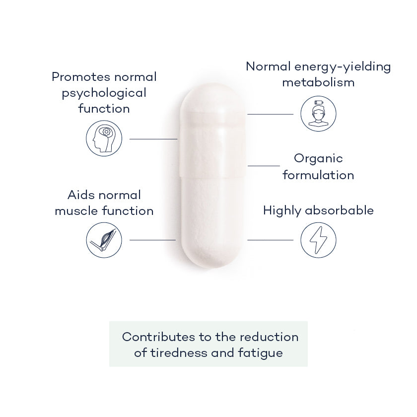 magnesium-angle;magnesium-front;magnesium-pill-group;Magnesium-annotated-capsule