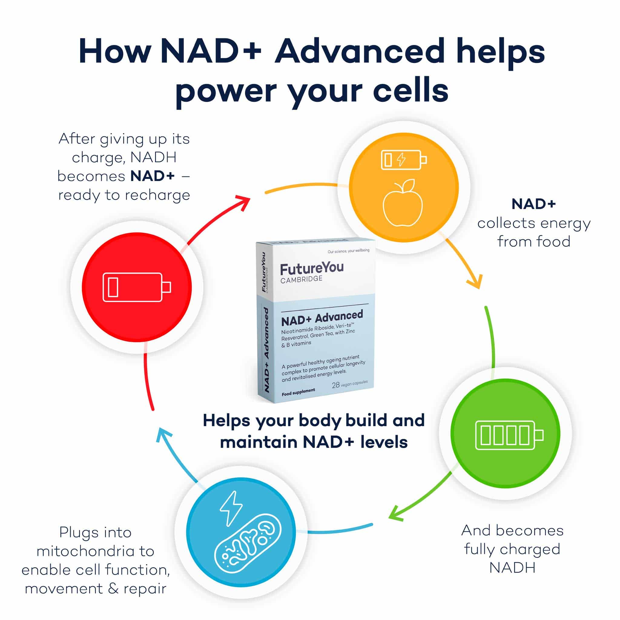 NAD+ Advanced