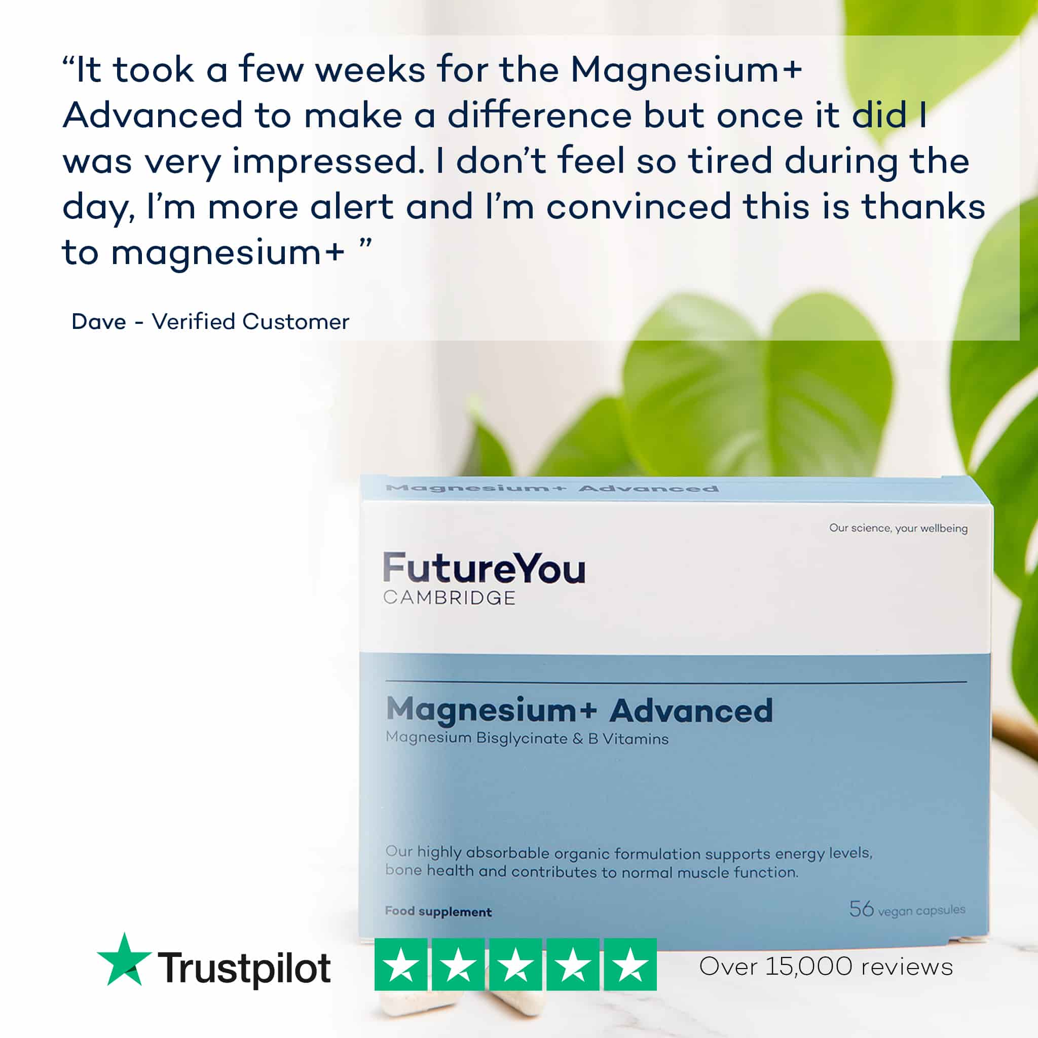 The Gift of Sleep 3-Month Magnesium+ Advanced Subscription