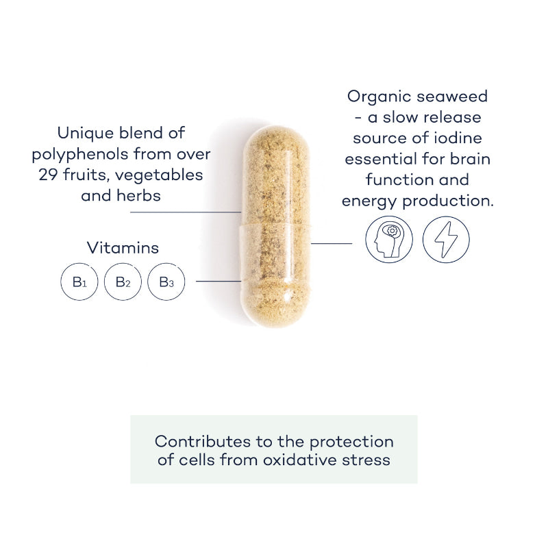 PhytoEnergy-angle;PhytoEnergy-front;PhytoEnergy-group;PhytoEnergy-annotated-capsule