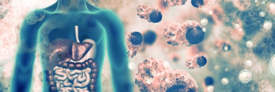 What is Co-Enzyme Q10 (CoQ10)? Benefits, Deficiency & Bioavailability