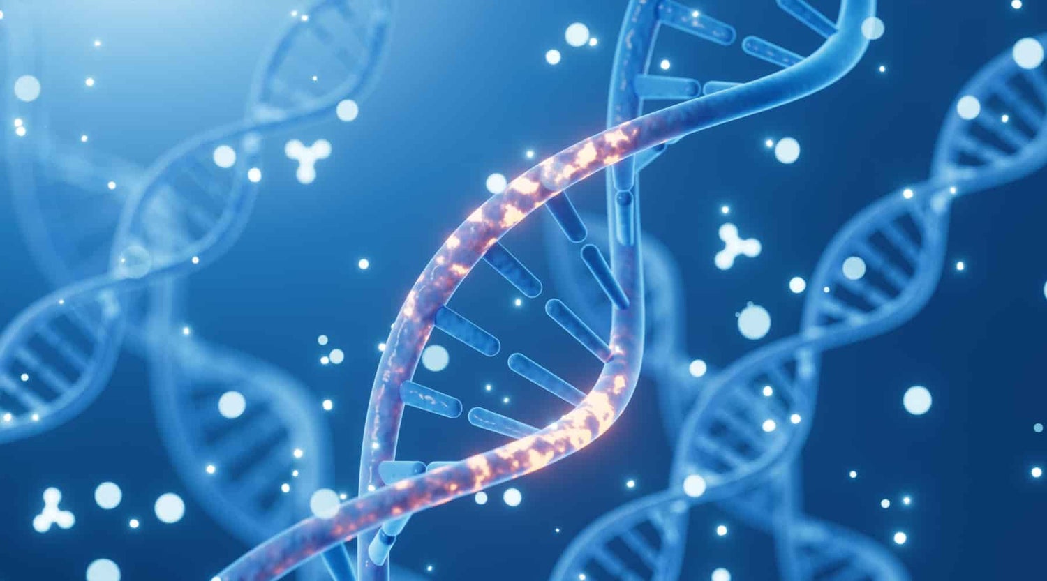 What is NAD?