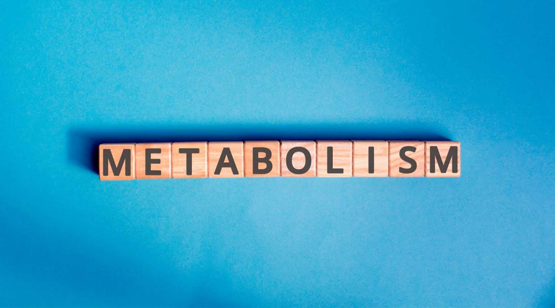 What is metabolism? Your top 10 questions answered
