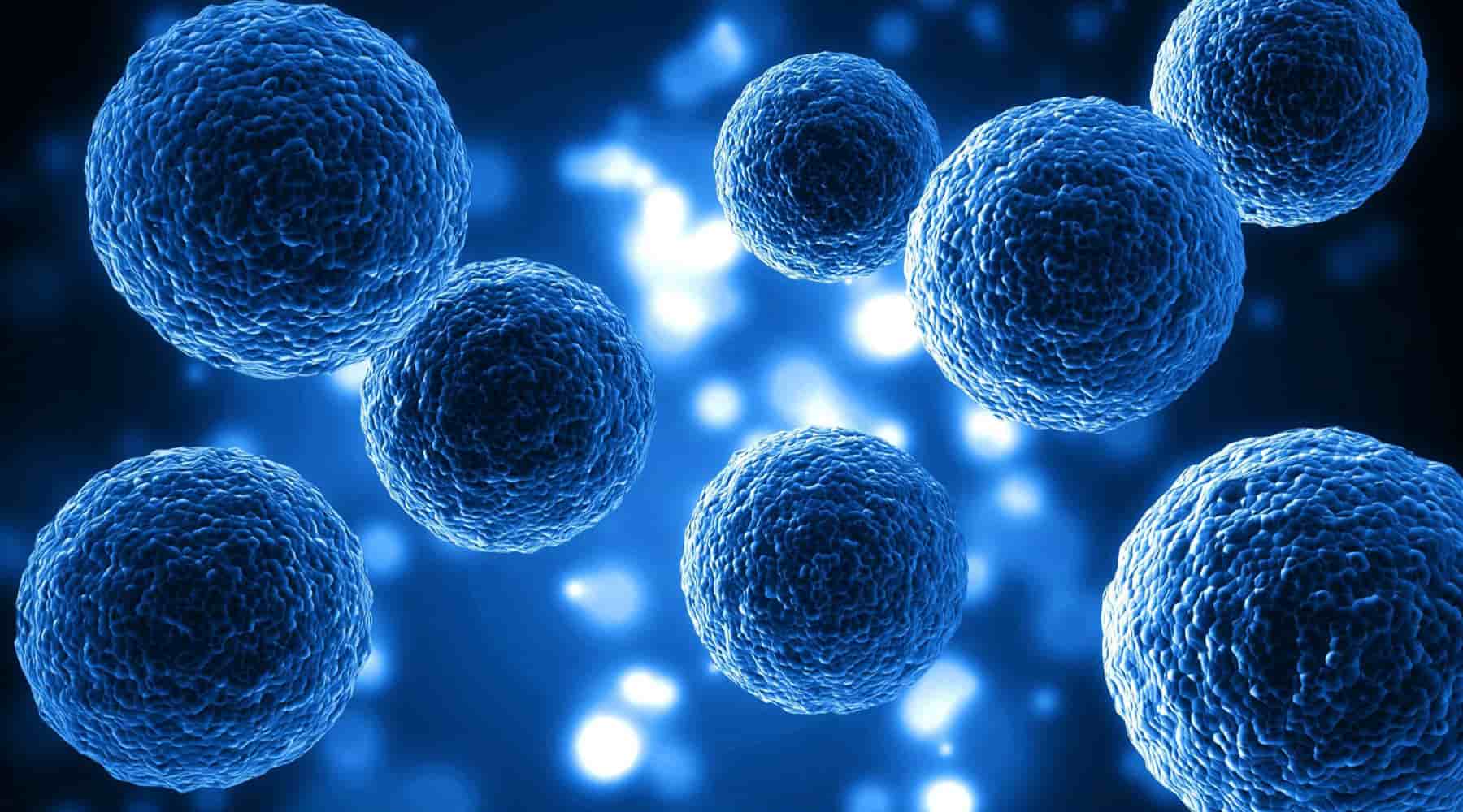 What makes a good NAD+ supplement?