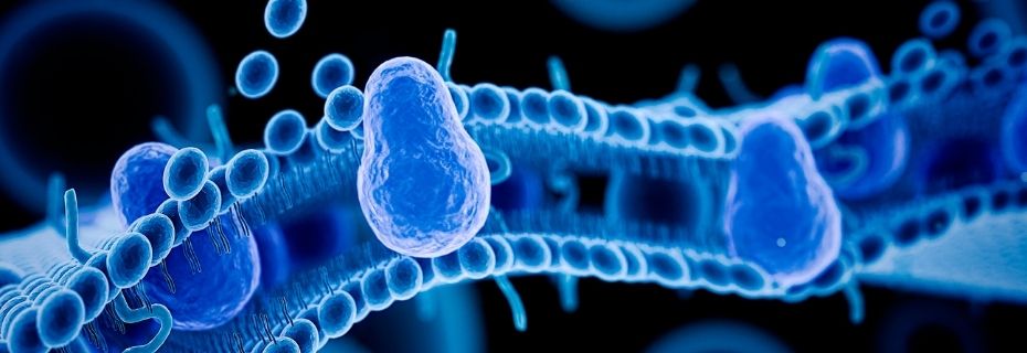 What is NAD?