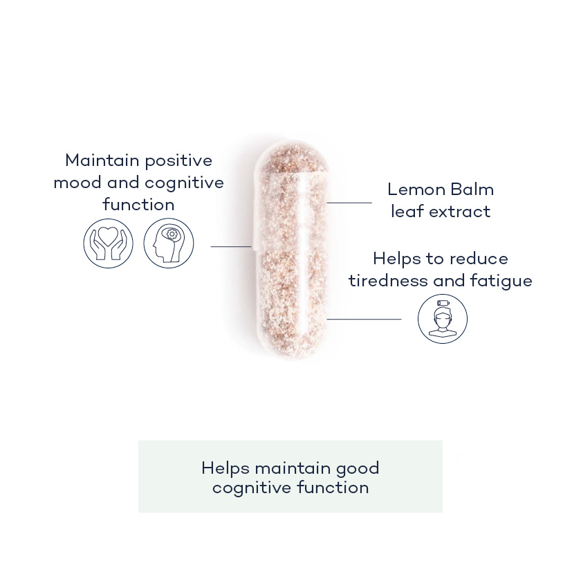 FocusZen-angle;FocusZen-front;focus-zen-pill-group;focus-zen-annotated-pill