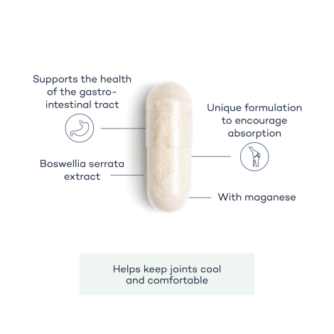 cool-joints-supplement-angle;cool-joints-front;Cool-joints-group-capsules;Cool-joints-annotated-capsule