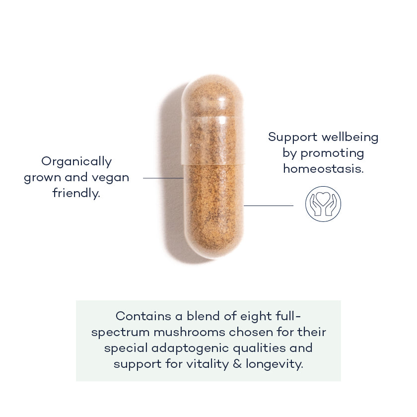 Mushroom-Complex-front;Mushroom-Complex-annotated-pill