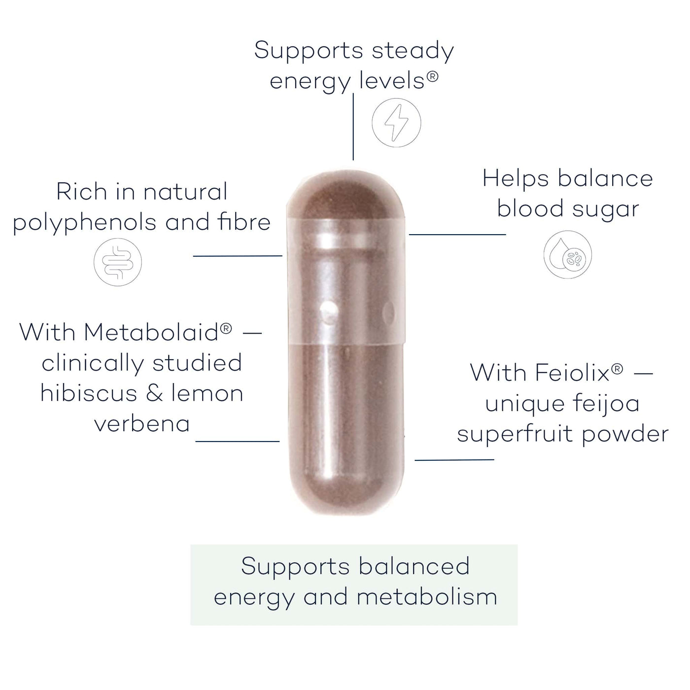 Metabolic Thrive+ | Weight Management Supplement