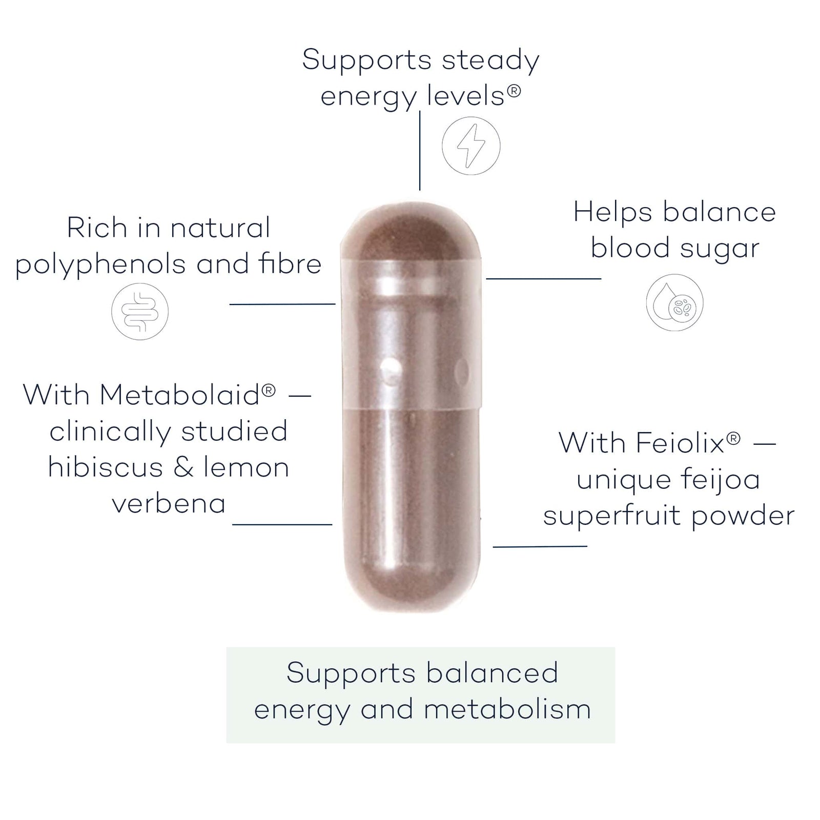 Metabolic Thrive+ | Weight Management Supplement